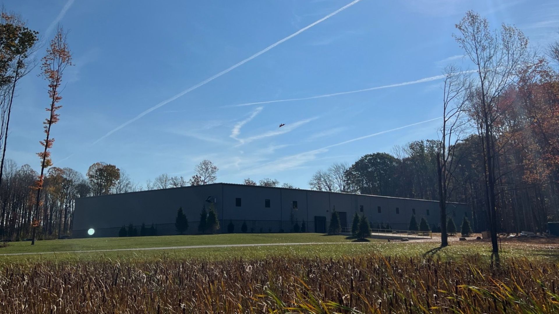 Rear of SDC building in the fall time with the sun out.